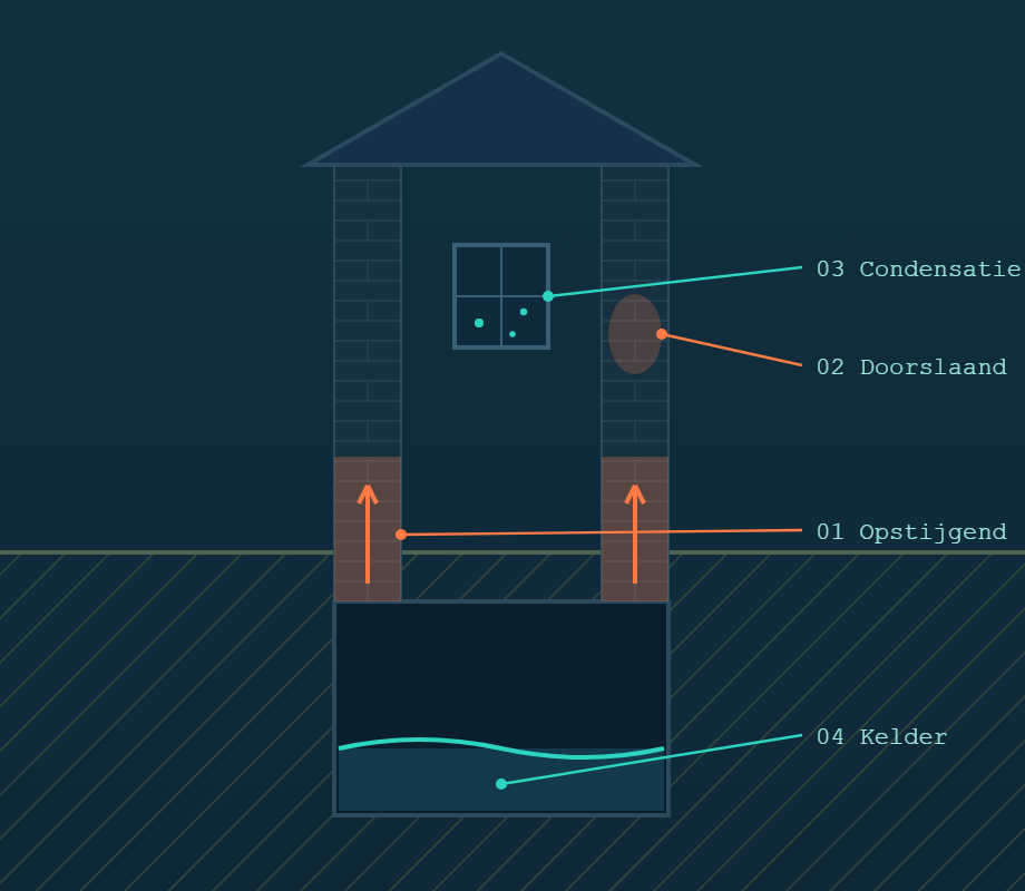 Doorsnede van een woning met de zones voor opstijgend vocht, doorslaand vocht, condensatie en water in de kelder